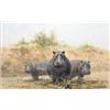 Image 1 : David Shepherd (1931-) oil on canvas, Hippo, signed, 9 x 14 ins....