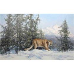 David Shepherd (1931-) oil on canvas, Snow leopard, signed and dated '96, 18.5 x 28.5 ins....