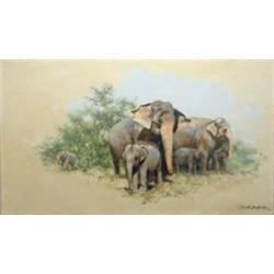 David Shepherd (1931-) oil on canvas, Elephants, signed and dated '98, 12 x 20 ins....