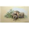 Image 1 : David Shepherd (1931-) oil on canvas, Elephants, signed and dated '98, 12 x 20 ins....