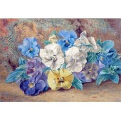 Thomas Frederick Collier (fl.1848-1874) watercolour, Still life of pansies, signed, 7.5 x 11 ins....