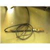 Image 1 : TIGER TORCH