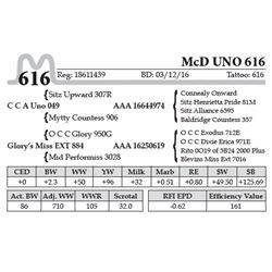 McD UNO 616
