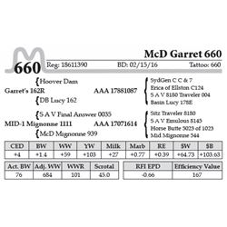 McD Garret 660