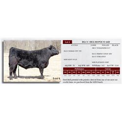 DLCC DELMONICO 66D