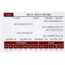DLCC DULUTH 98D