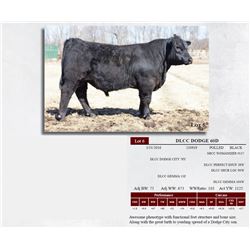 DLCC DODGE 60D