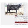 Image 1 : DLCC DODGE 60D