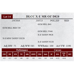 DLCC X-E MR OZ D828