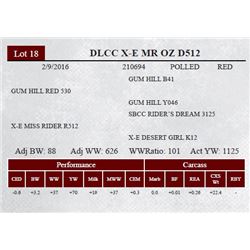 DLCC X-E MR OZ D512