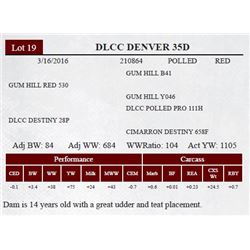DLCC DENVER 35D