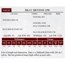 DLCC DENTON 15D