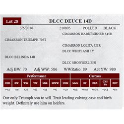 DLCC DEUCE 14D