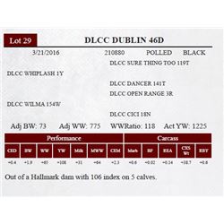 DLCC DUBLIN 46D