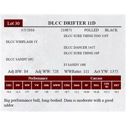 DLCC DRIFTER 11D