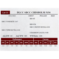 DLCC SBCC CHISHOLM 5156