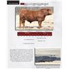 Image 1 : DLCC CCN MONTANA DRIVER D7