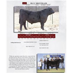 DLCC DROVER 62D