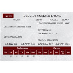 DLCC DF YOSEMITE 0634D