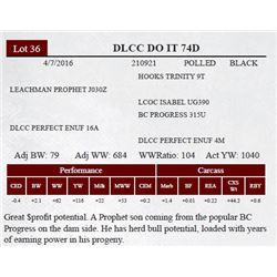 DLCC DO IT 74D