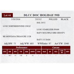 DLCC DOC HOLIDAY 59D