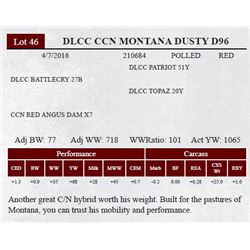 DLCC CCN MONTANA DUSTY D96