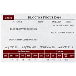 DLCC WS FOCUS D010