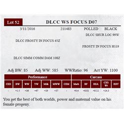 DLCC WS FOCUS D07