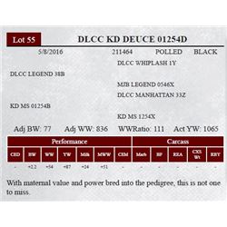 DLCC KD DEUCE 01254D