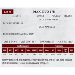 DLCC DUO 17D