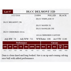 DLCC DELMONT 32D