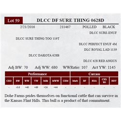 DLCC DF SURE THING 0628D