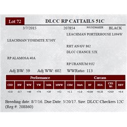 DLCC RP CATTAILS 51C