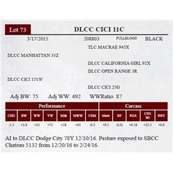 DLCC CICI 11C