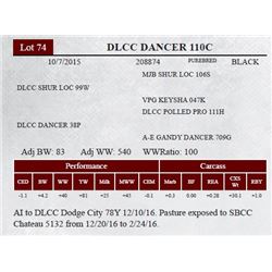 DLCC DANCER 110C