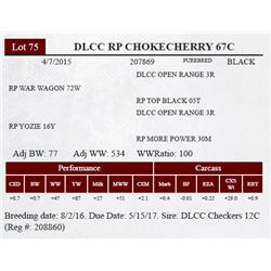 DLCC RP CHOKECHERRY 67C