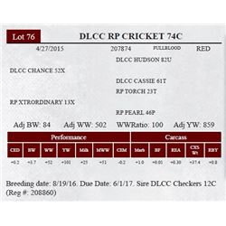 DLCC RP CRICKET 74C