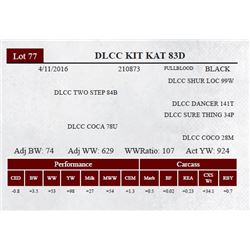 DLCC KIT KAT 83D