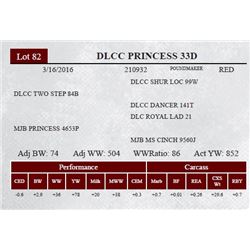 DLCC PRINCESS 33D
