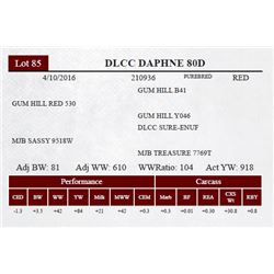 DLCC DAPHNE 80D