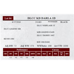 DLCC KD DARLA 1D