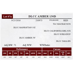 DLCC AMBER 130D
