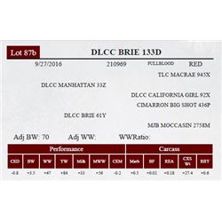 DLCC BRIE 133D