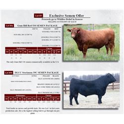 Exclusive Semen Offer