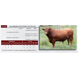 Gum Hill Red 530 SEMEN PACKAGE