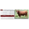 Image 1 : Gum Hill Red 530 SEMEN PACKAGE