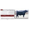 Image 1 : DLCC Stockman 39C SEMEN PACKAGE