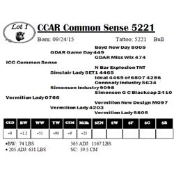 CCAR Common Sense 5221