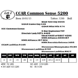 CCAR Common Sense 5200