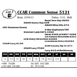 CCAR Common Sense 5131